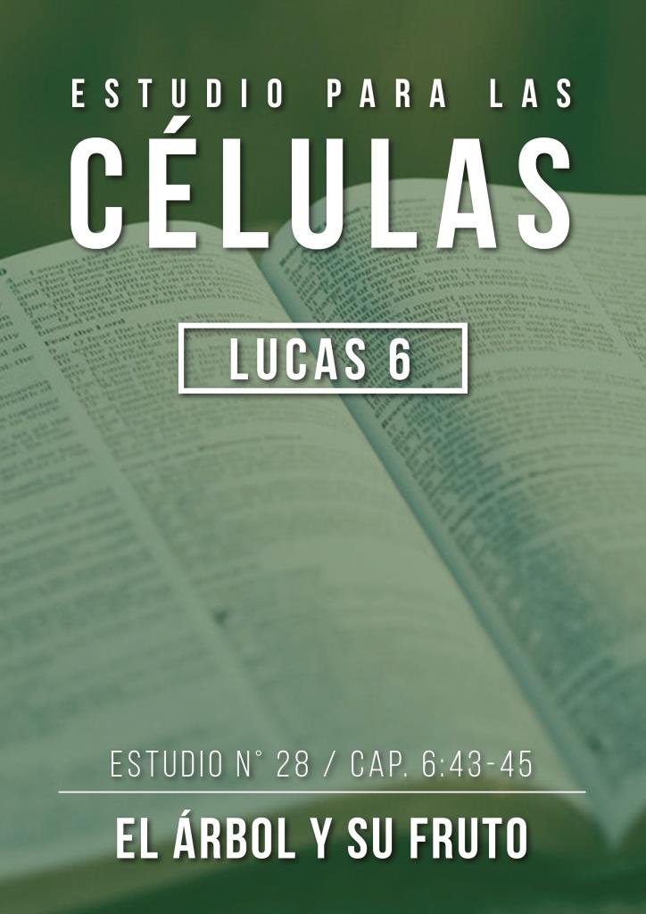 Estudio 28 Cap. 6:43-45