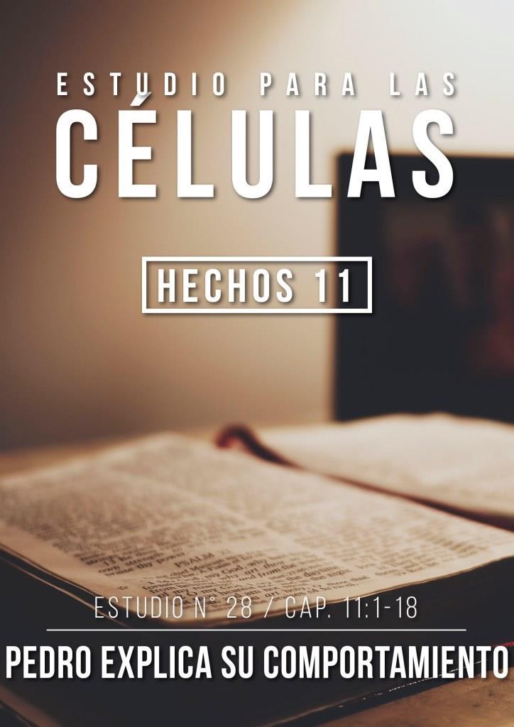 Estudio 28 Cap. 11:1-18